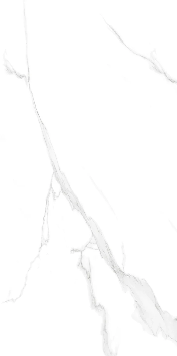 face 6